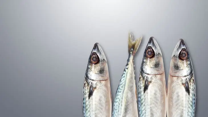 The Common Points between Carnivorous Inuit & Indian Vegetarians