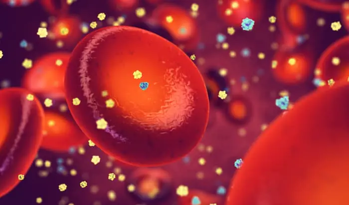 ‘Weak’ and ‘strong’ cells bonding boosts body’s diabetes fight