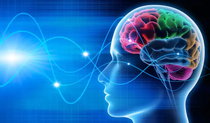 Synchronising brain waves key to how and why we pay attention brain waves