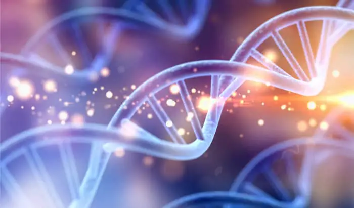 Genetic breakthrough for severe neurological conditions