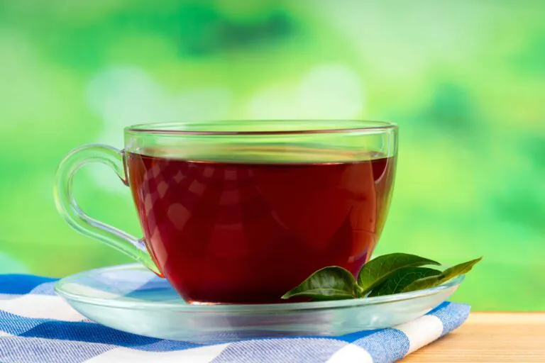 Green Tea Could Hold the Key to Reducing Antibiotic Resistance