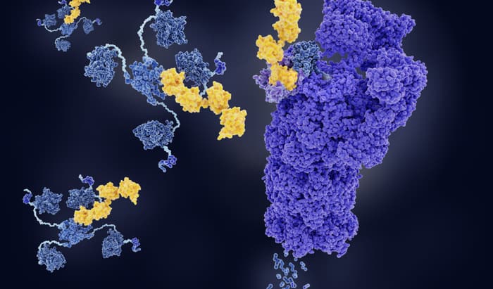 Rare Disease Day research on inflammation