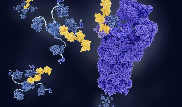 Rare Disease Day research on inflammation inflammation