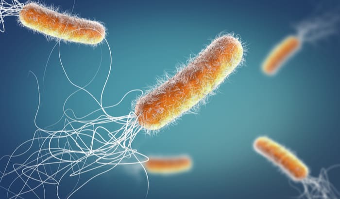 Antimicrobial resistant diseases outside of EU