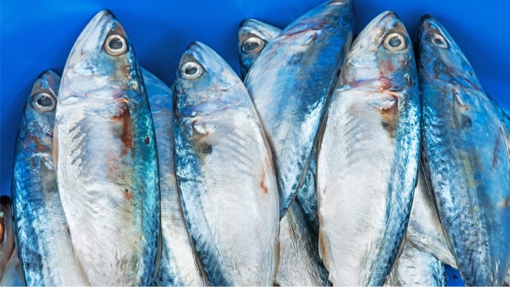 Mercury can Attenuate the Beneficial health Effects of Fish