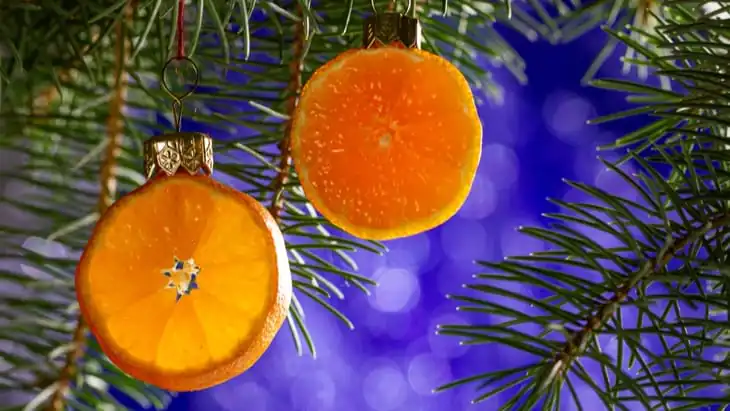4 Healthy Habits for the Holiday Season