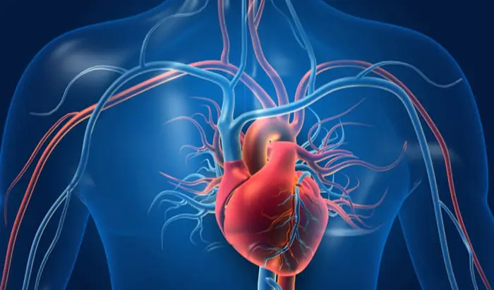 Scoring system screening for “dual” heart disease Scoring system