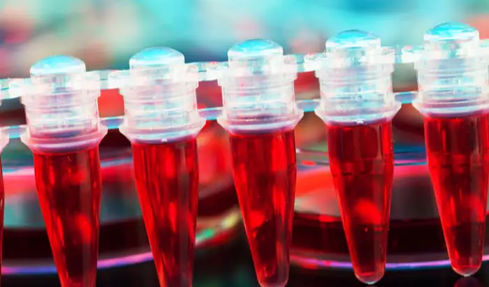 New international stem cell research centre
