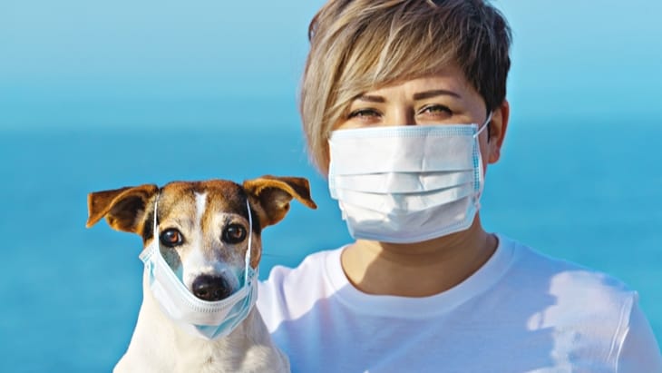 How to look after pets if you are self isolating or have Coronavirus