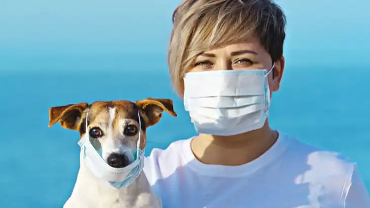 How to look after pets if you are self isolating or have Coronavirus