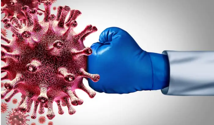How pandemics end?