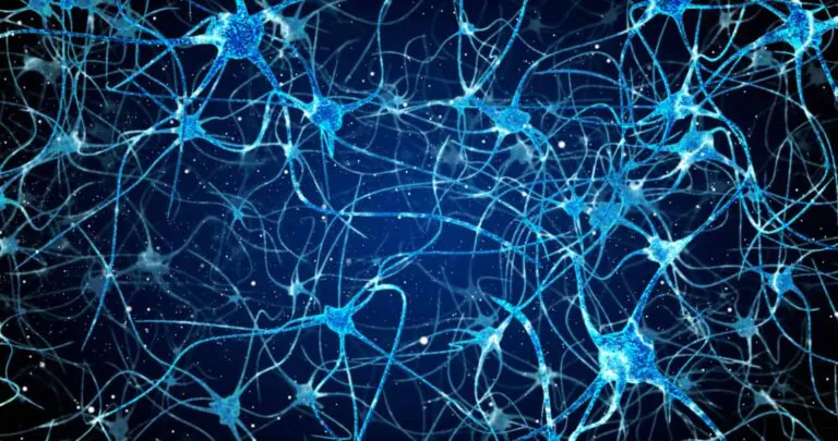 New understanding of how brain cells talk