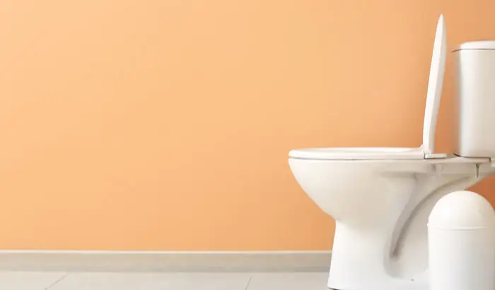 Bladder cancer: effective drugs identified bladder cancer