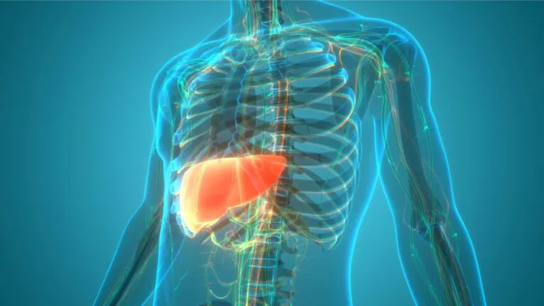 Hypertension and fatty liver don’t add up in death risk