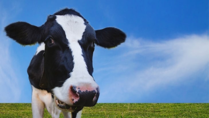 Milk allergy guidelines may cause overdiagnosis in babies and children