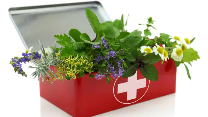 More people choosing alternative medicine