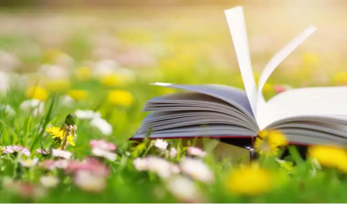 Holiday reading recommendations summer