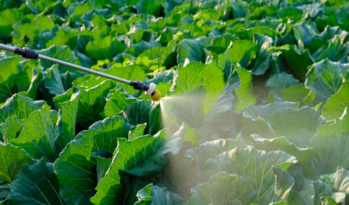 Research finds organic insecticides more damaging to non-target insects