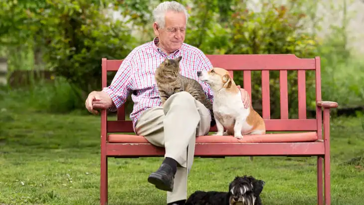 Lifestyle counselling prevents cognitive decline