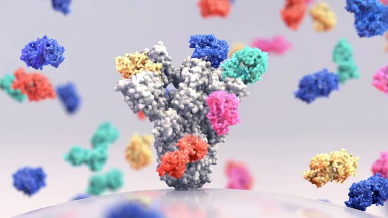 New Monoclonal Antibody Targets Deadly Sepsis