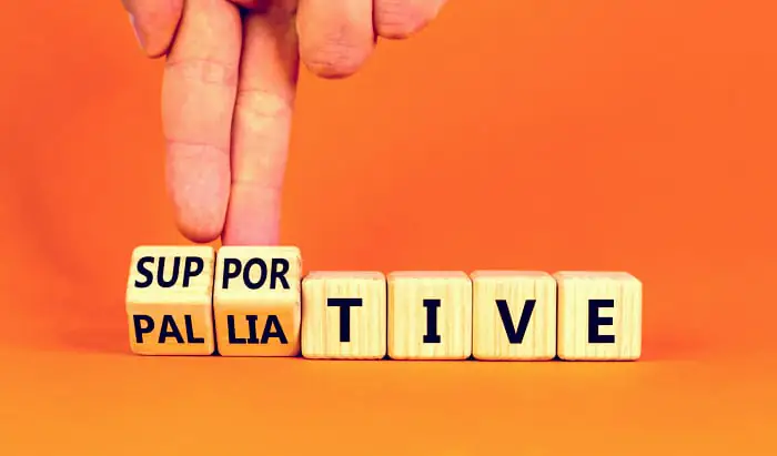Palliative Medicine support for families