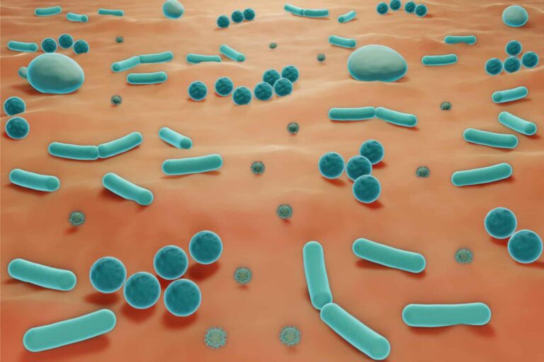 The skin microbiome and healthy ageing