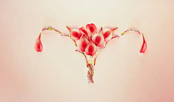 New implant could help women experiencing infertility or recurrent miscarriages