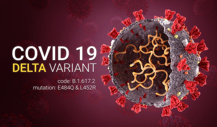 Delta variant – what you should know