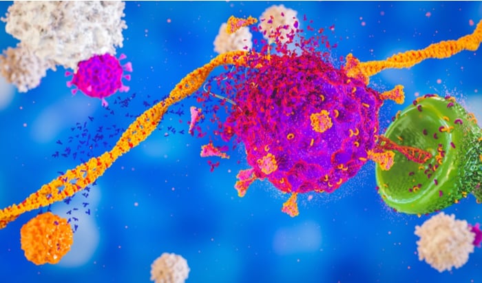 Memory killer T cells at lower frequency