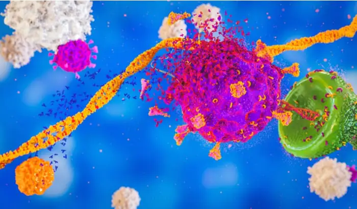 Memory killer T cells at lower frequency