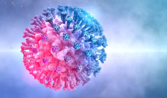 T cells a key defence against Omicron