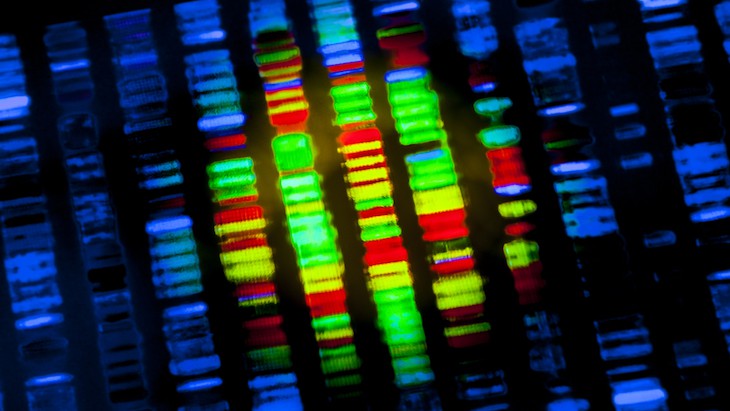 Genetic engineering and MND