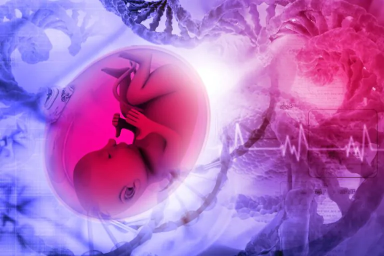 High-Fat Maternal Diet Can Cause Brain Damage in the Unborn Child