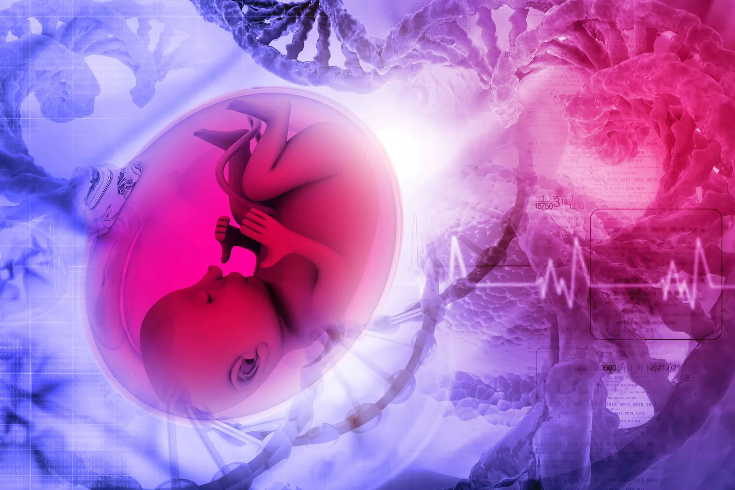 High-Fat Maternal Diet Can Cause Brain Damage in the Unborn Child
