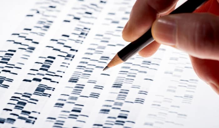 Researchers discover new neurodevelopmental disorder