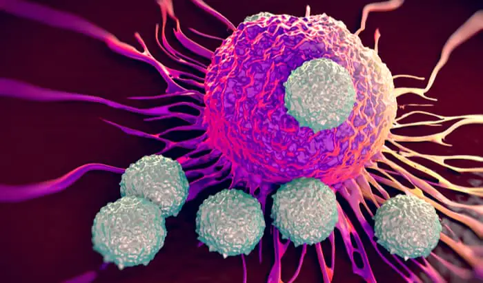 Improving immune response to cancer