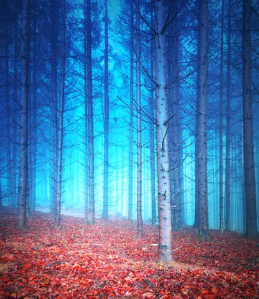 10 tips to beat the Autumn blues