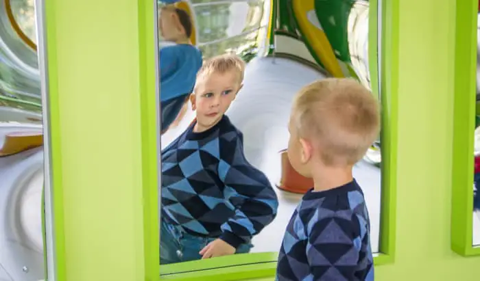Disabled by Body Dysmorphia