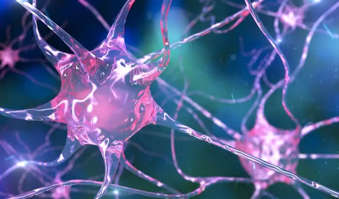 Taking the STING out of Motor Neuron Disease motor neuron disease