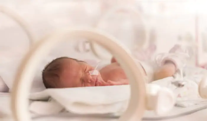 New mothers could help protect other babies’ brains new mothers
