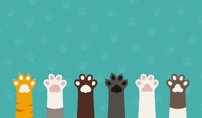 Diabetes in pets