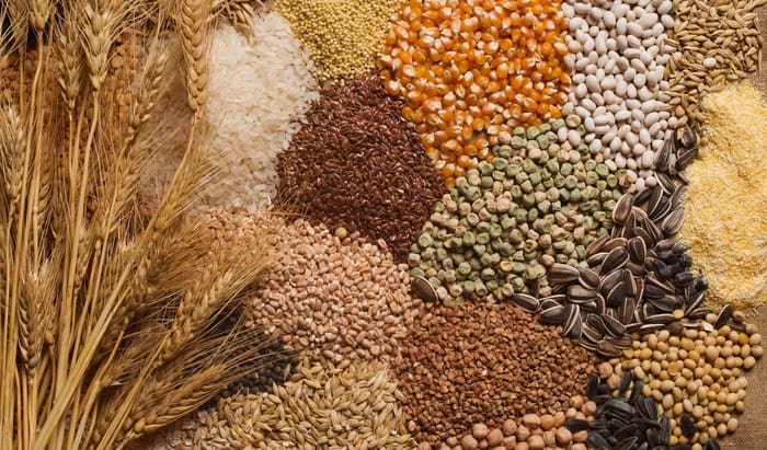 Whole grain food and the economics of type 2 diabetes