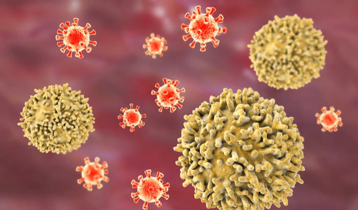 Distinct immune response identified in the early phase of SARS CoV-2 infection