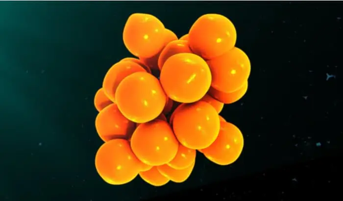 How to predict severe influenza in hospitalised patients