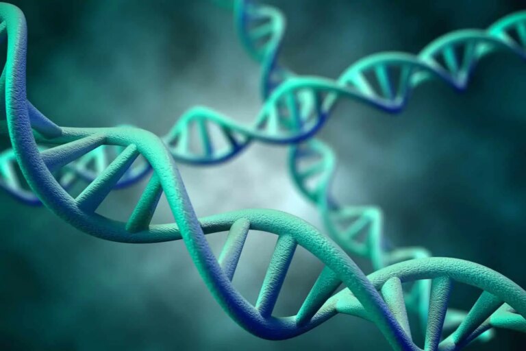 Micro-protein helps yeast cells cope with nutrient scarcity