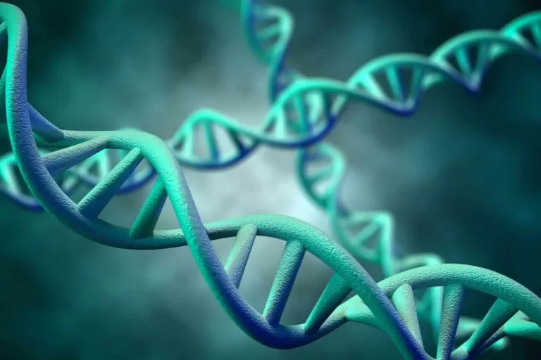 Micro-protein helps yeast cells cope with nutrient scarcity