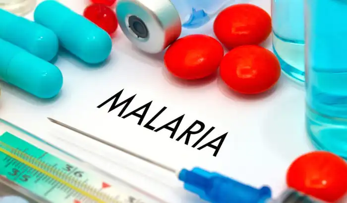 WHO recommends malaria vaccine for children at risk