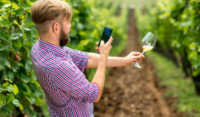 WHO: glaring gaps in regulation of alcohol marketing
