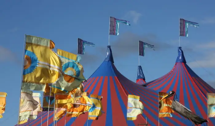 Staying healthy at summer festivals