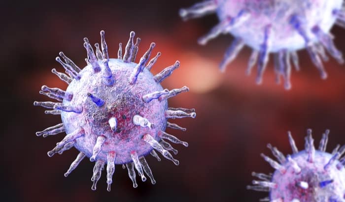 First Comprehensive Survey of Virus DNA Found Within Cancer Cells